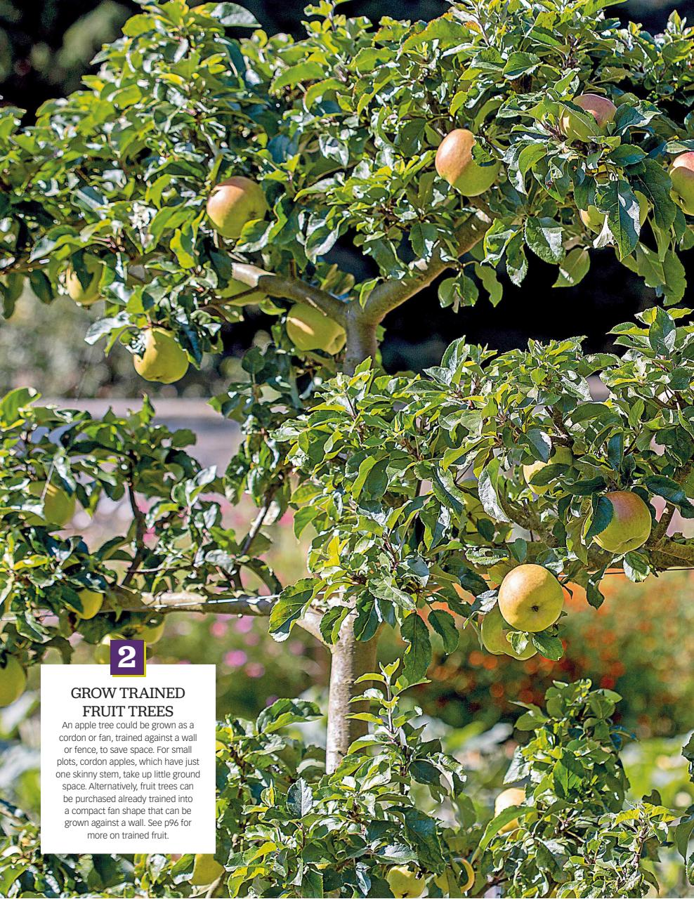 BBC Gardeners’ World Magazine Preview Pages