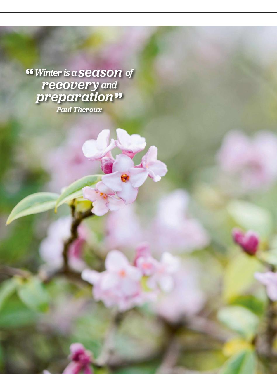 BBC Gardeners’ World Magazine Preview Pages