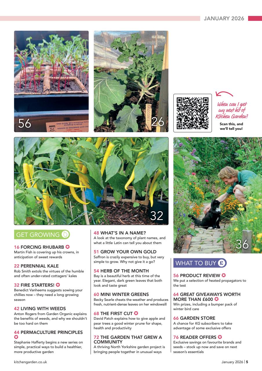 Kitchen Garden Magazine Preview Pages