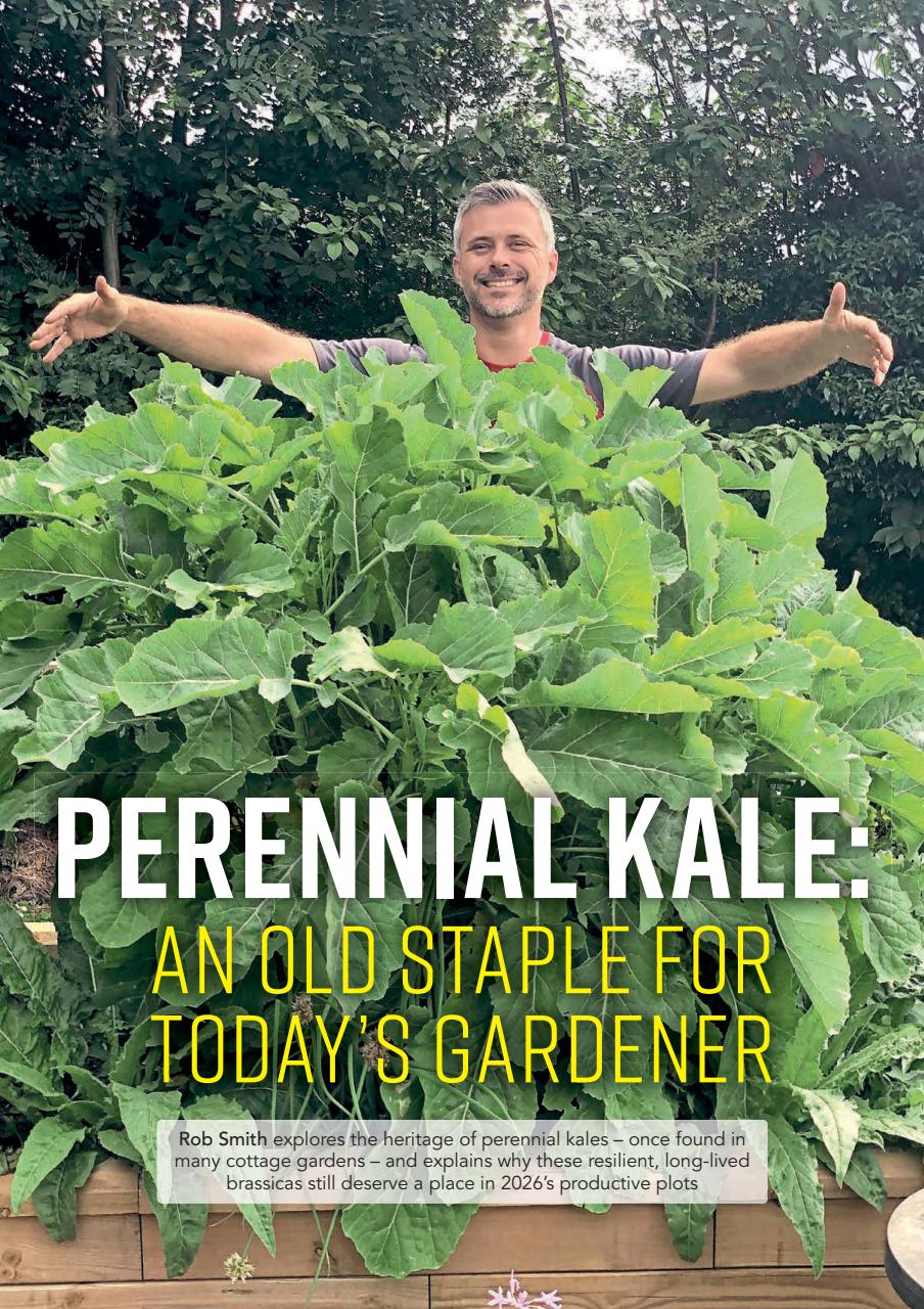 Kitchen Garden Magazine Preview Pages