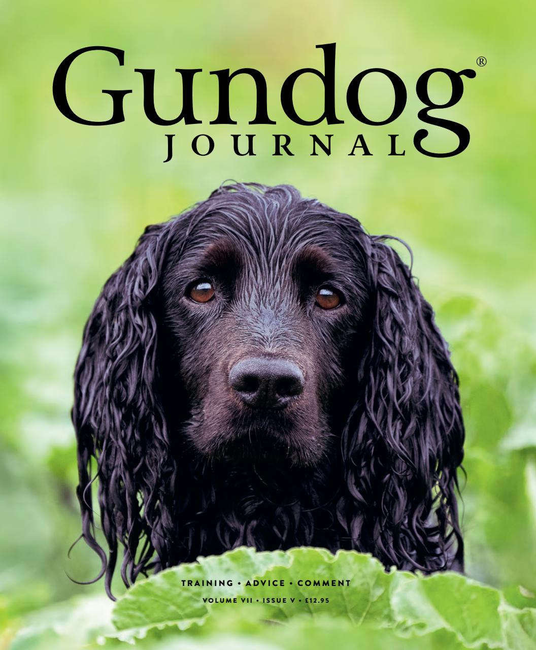 Gundog Journal Preview Pages