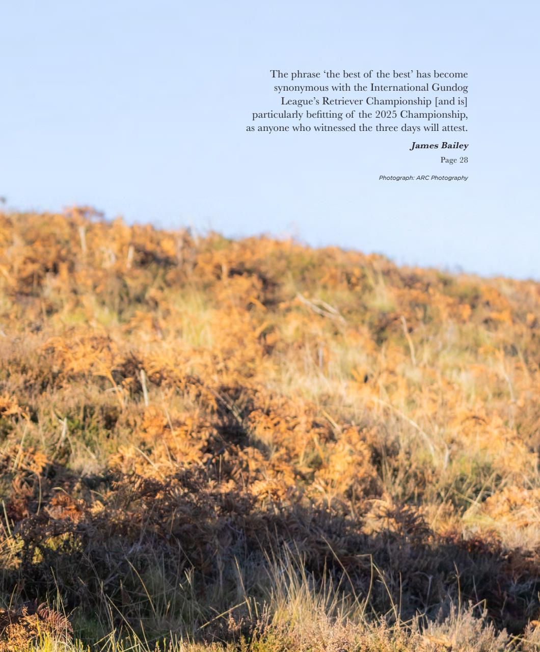 Gundog Journal Preview Pages