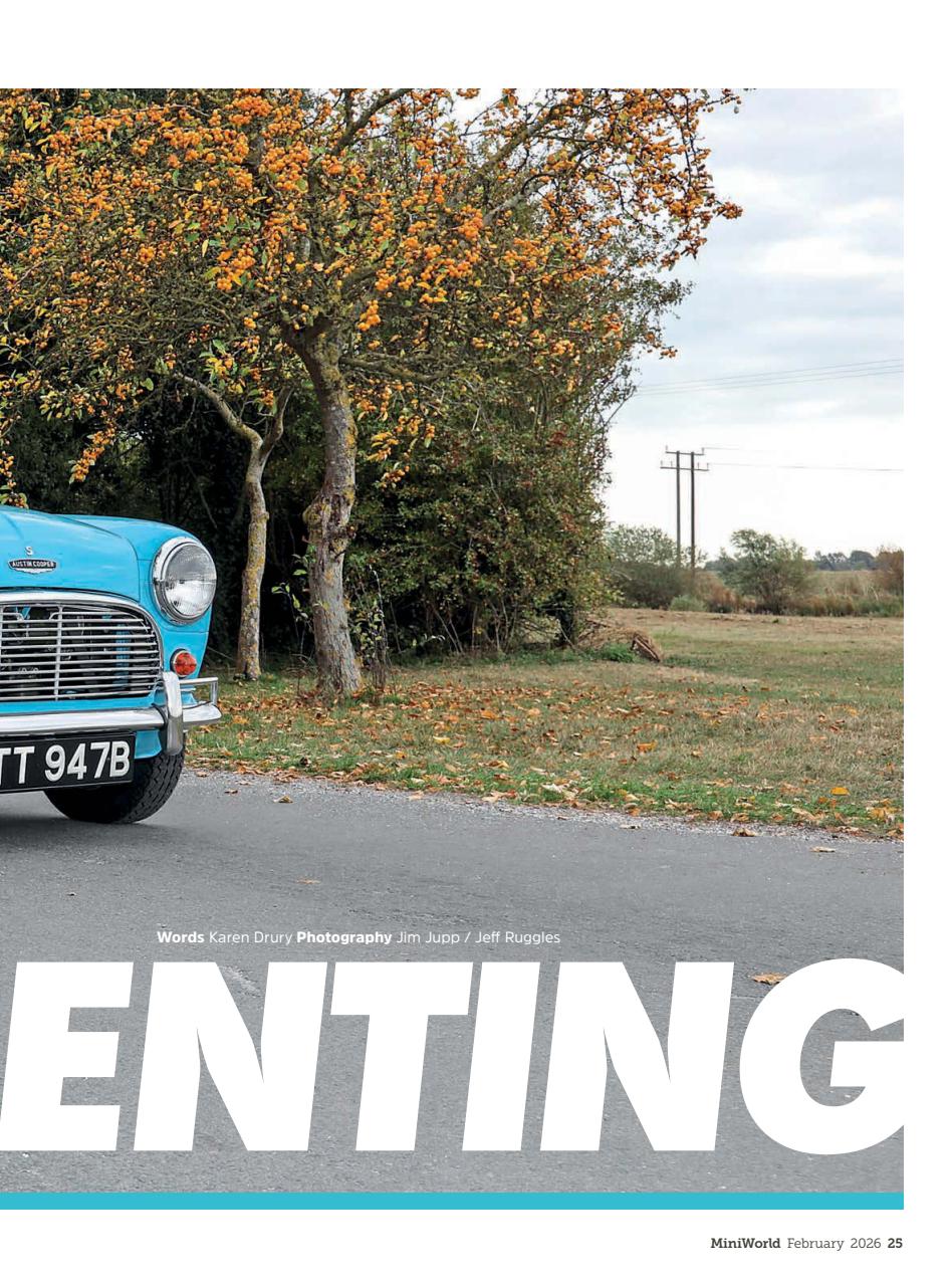 Mini World Preview Pages