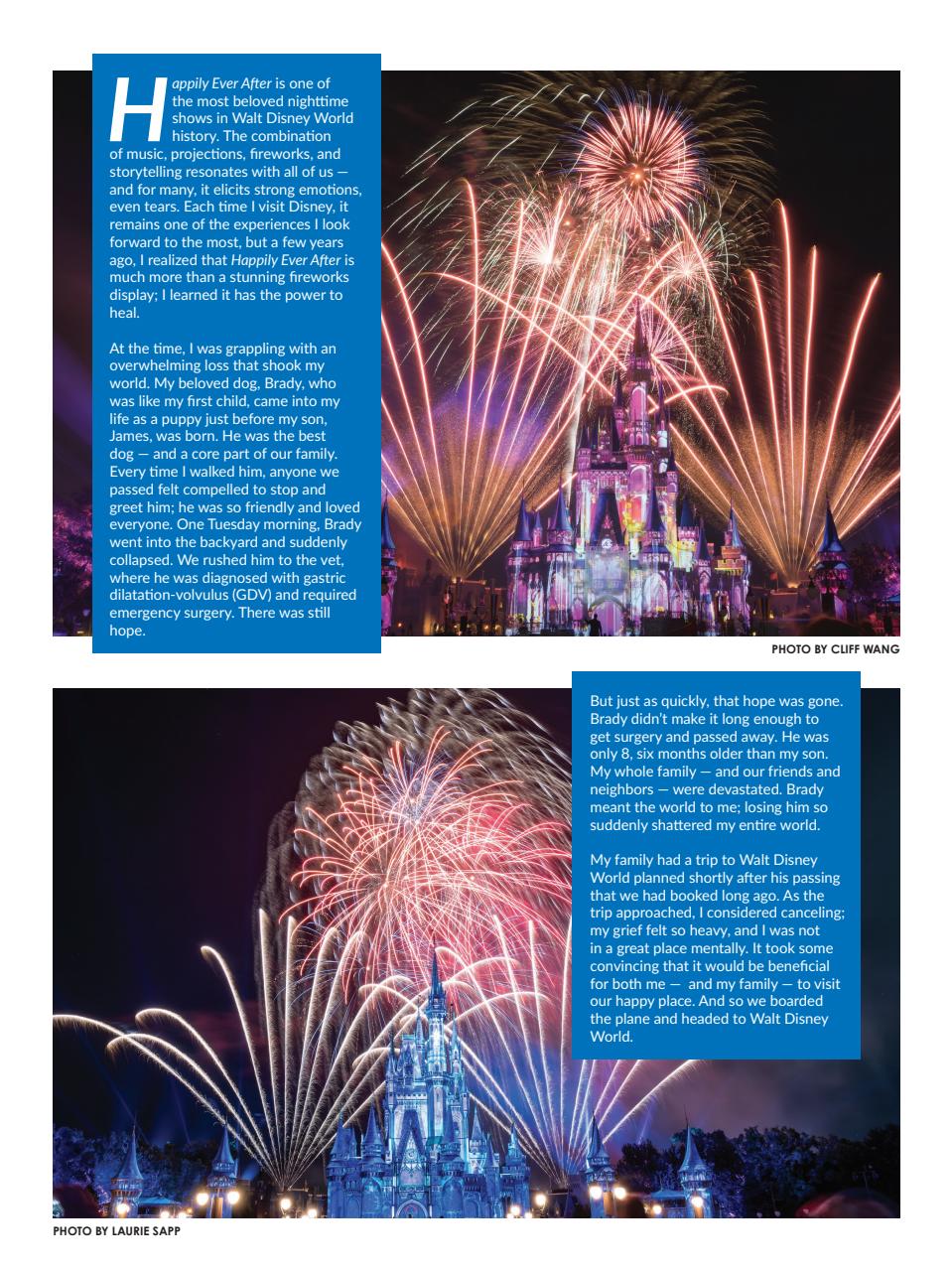 WDW Magazine Preview Pages