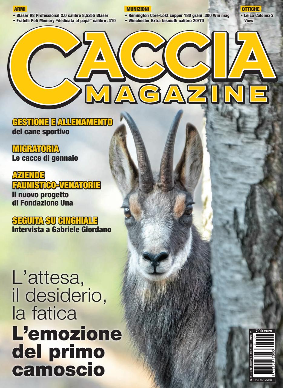 Caccia Magazine Preview Pages