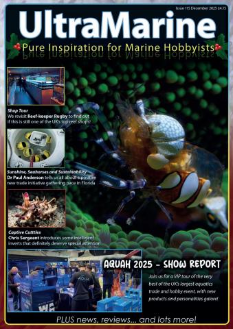 UltraMarine Magazine issue Dec/Jan 2025