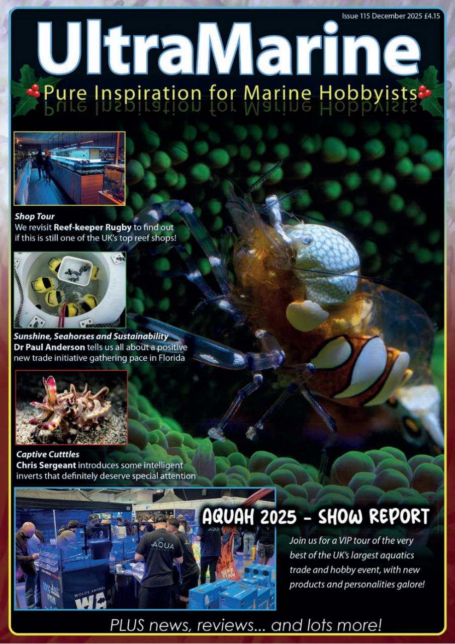UltraMarine Magazine Preview Pages