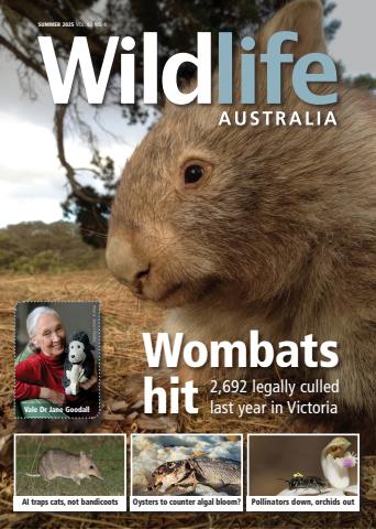 Wildlife Australia issue Summer 2025 Volume 62 Number 4