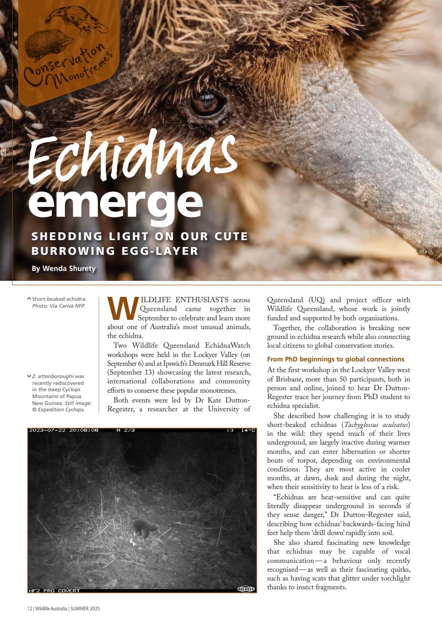 Wildlife Australia Preview Pages