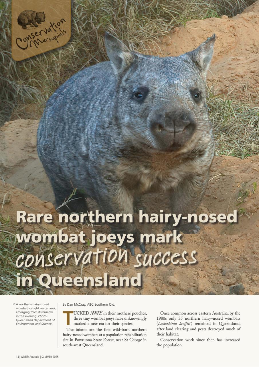 Wildlife Australia Preview Pages
