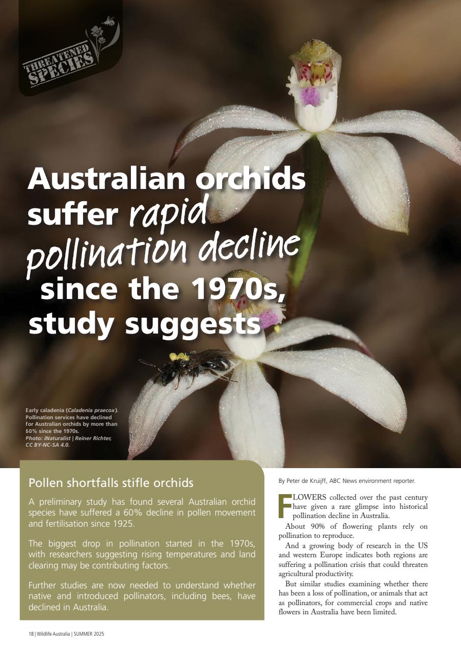 Wildlife Australia Preview Pages