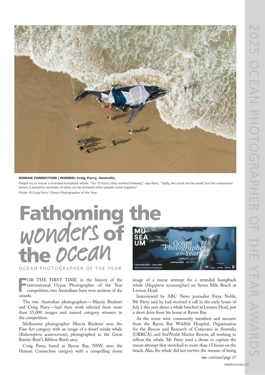 Wildlife Australia Preview Pages