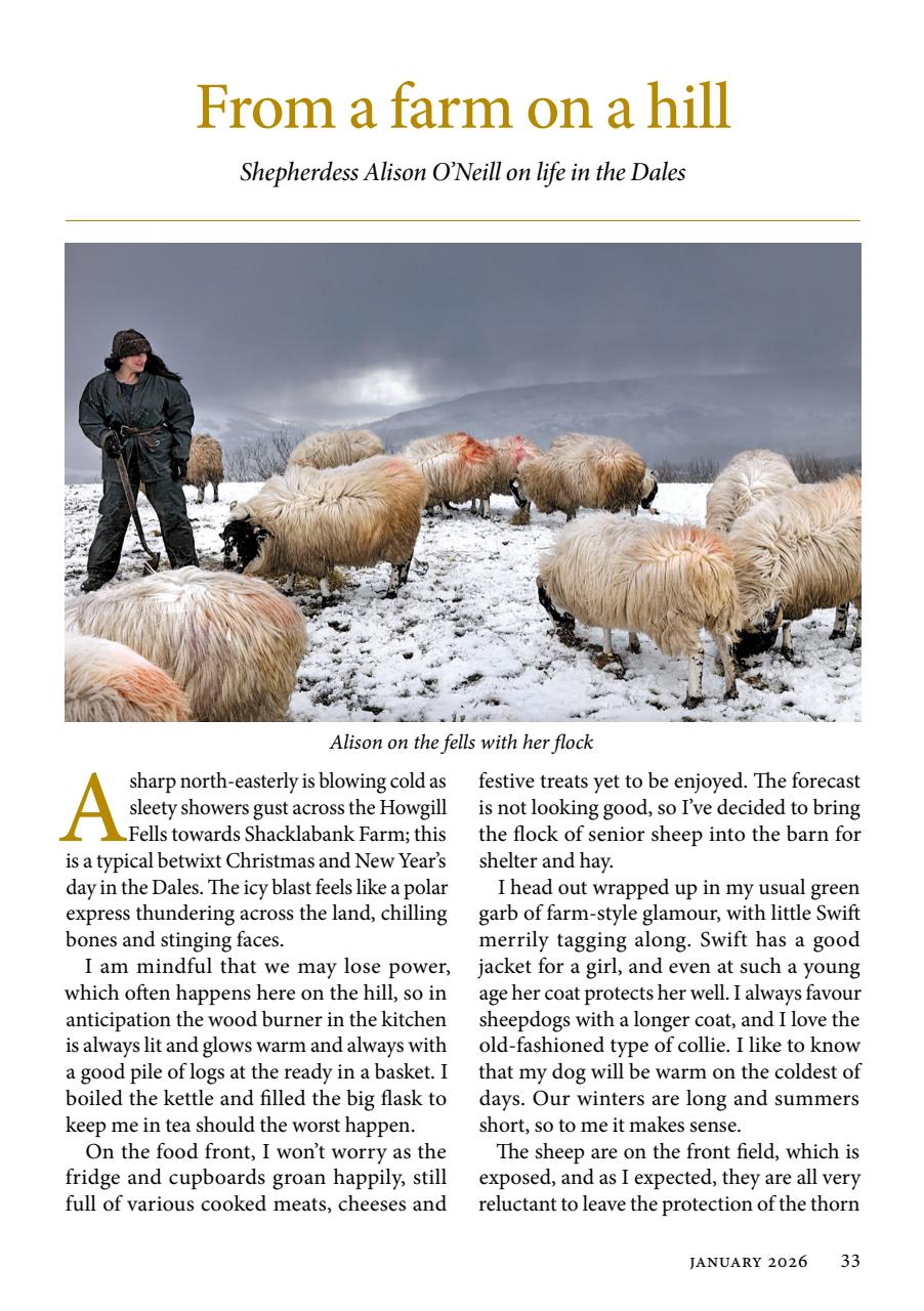 The Yorkshire Dalesman Preview Pages