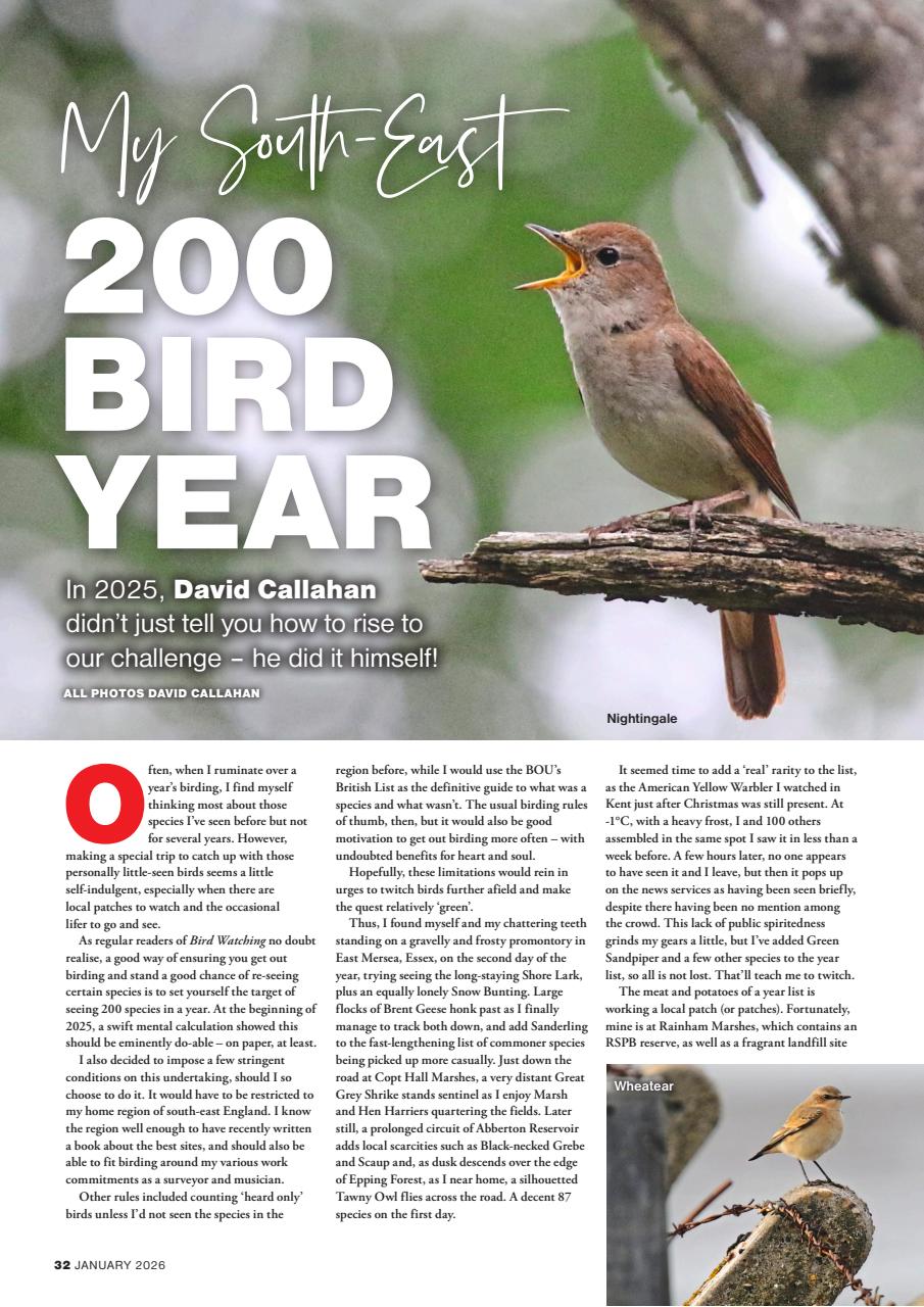 Bird Watching Preview Pages