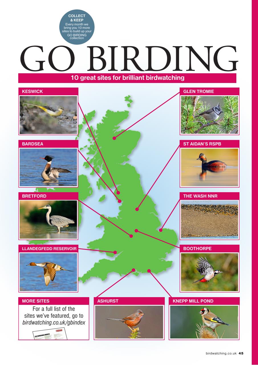 Bird Watching Preview Pages