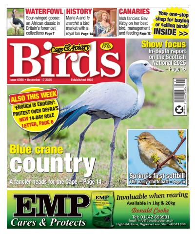 Cage & Aviary Birds issue 17th December 2025