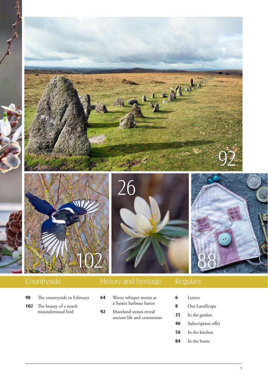 LandScape Preview Pages