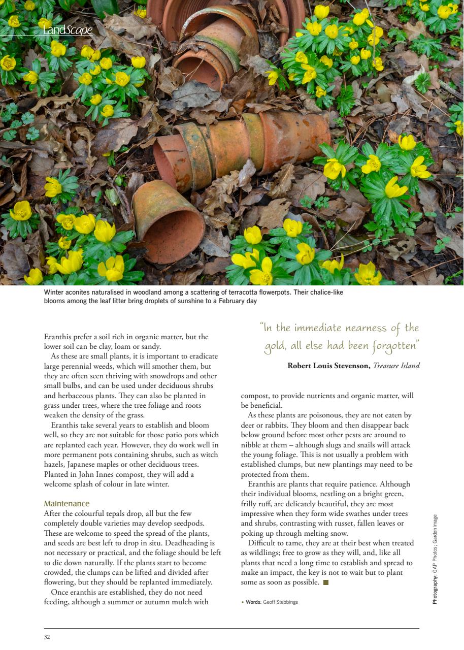 LandScape Preview Pages