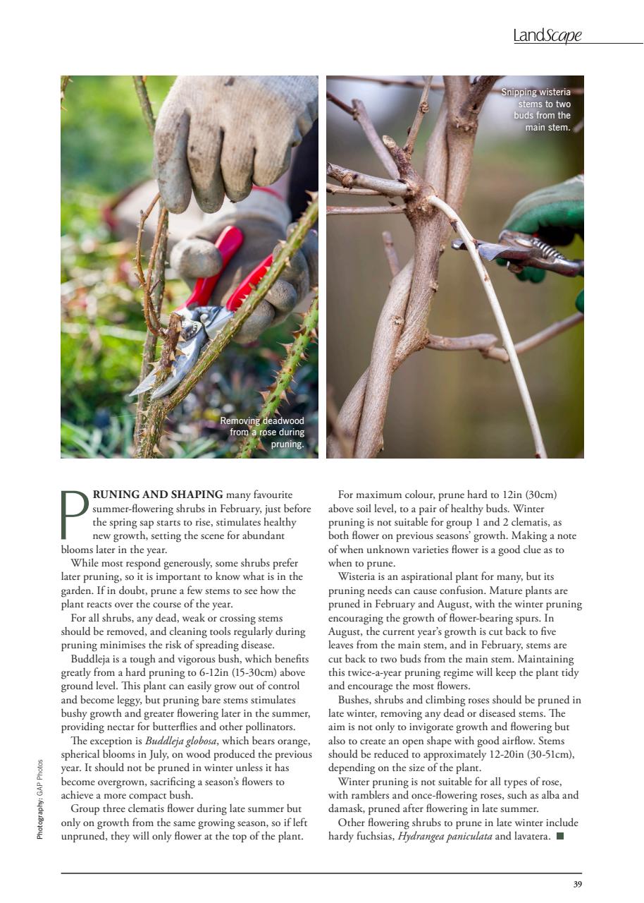 LandScape Preview Pages