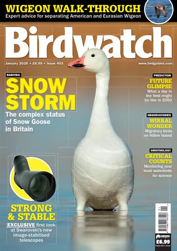Birdwatch Magazine issue 