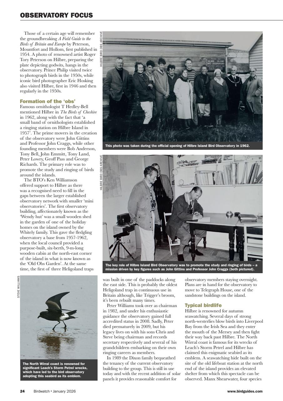 Birdwatch Magazine Preview Pages