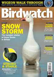 Birdwatch Magazine Complete Your Collection Cover 1