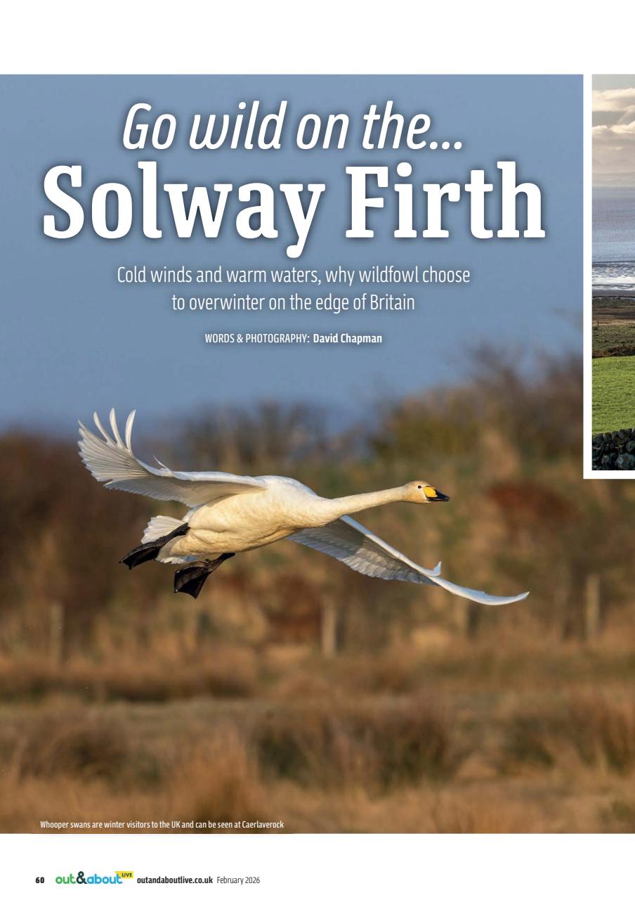 MMM magazine Preview Pages