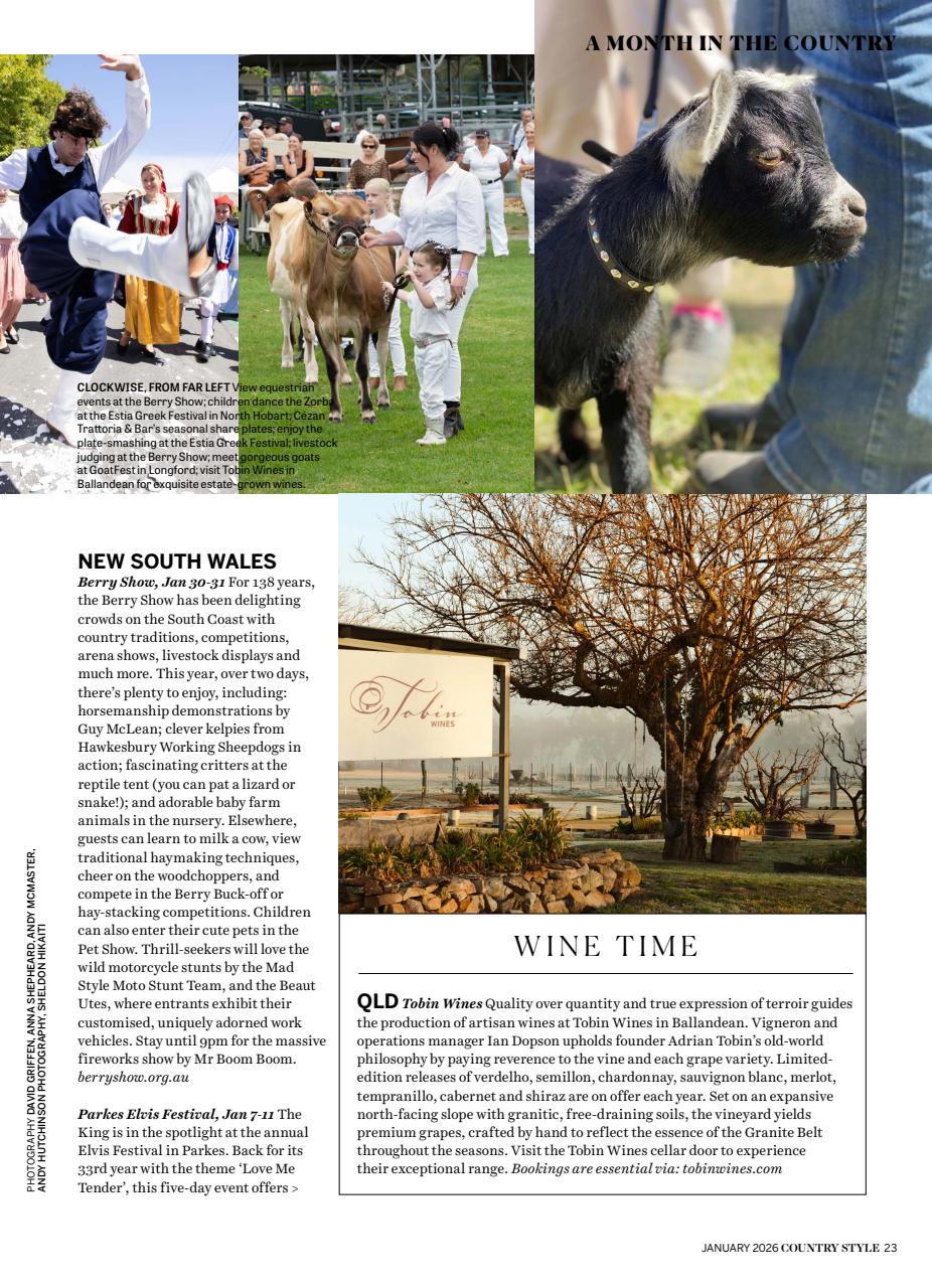 Country Style Preview Pages