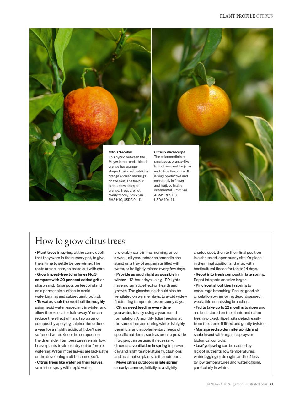 Gardens Illustrated Preview Pages