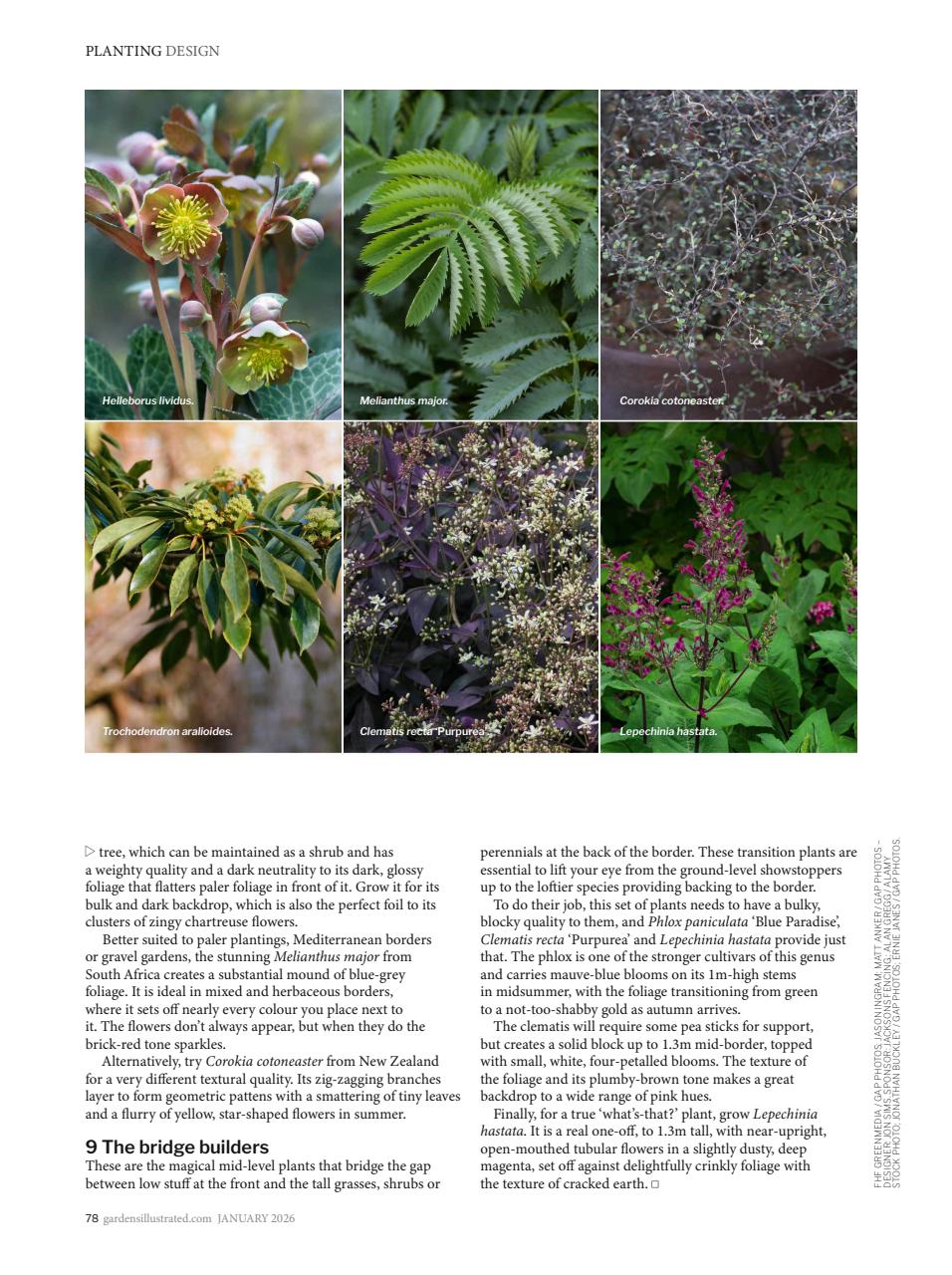 Gardens Illustrated Preview Pages