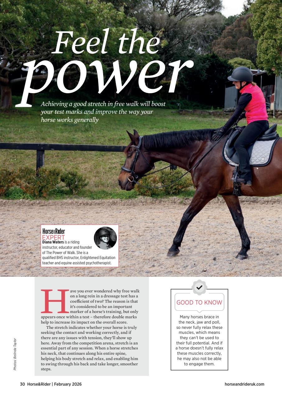 Horse&Rider Magazine - UK equestrian magazine for Horse and Rider ...