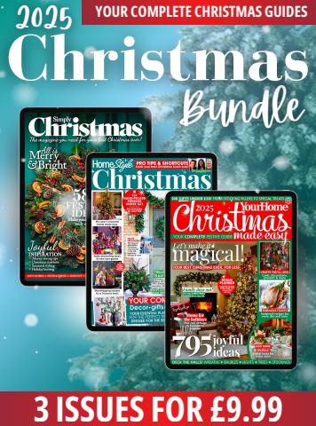 2025 Christmas Bundle issue 2025 Christmas Bundle