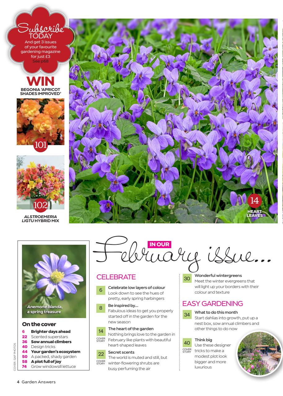 Garden Answers Preview Pages