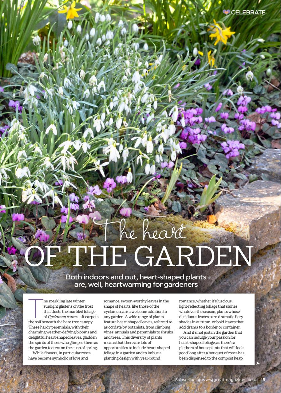 Garden Answers Preview Pages