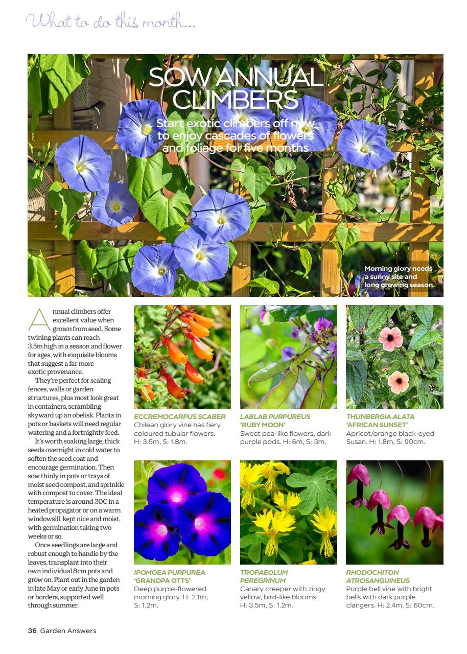 Garden Answers Preview Pages