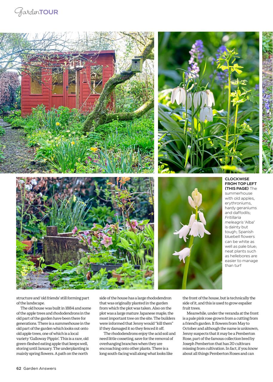 Garden Answers Preview Pages