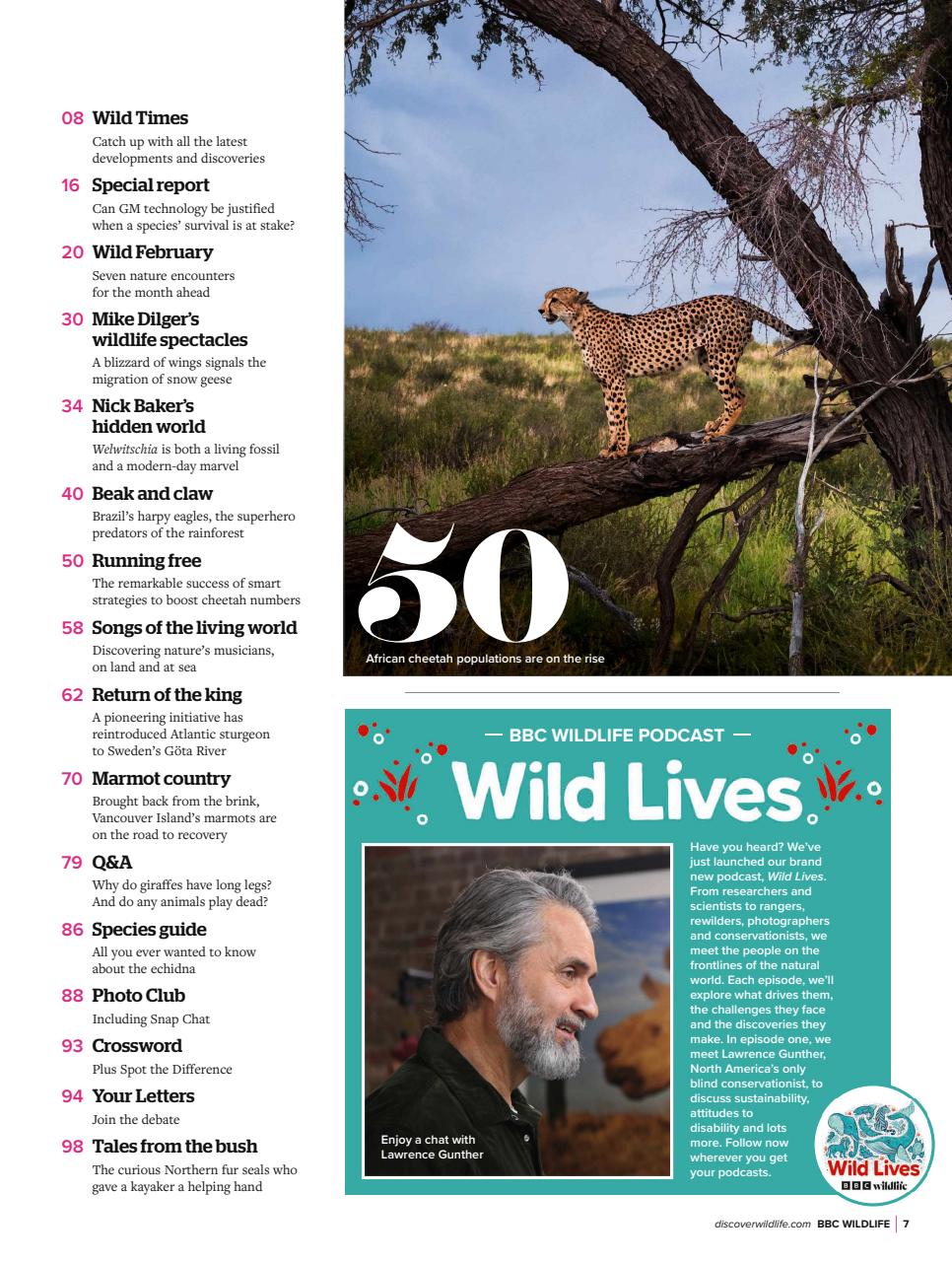BBC Wildlife Magazine Preview Pages