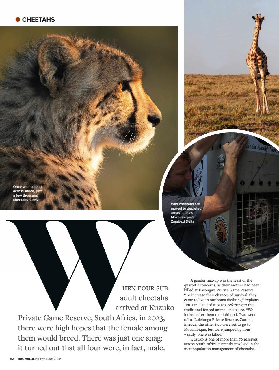 BBC Wildlife Magazine Preview Pages