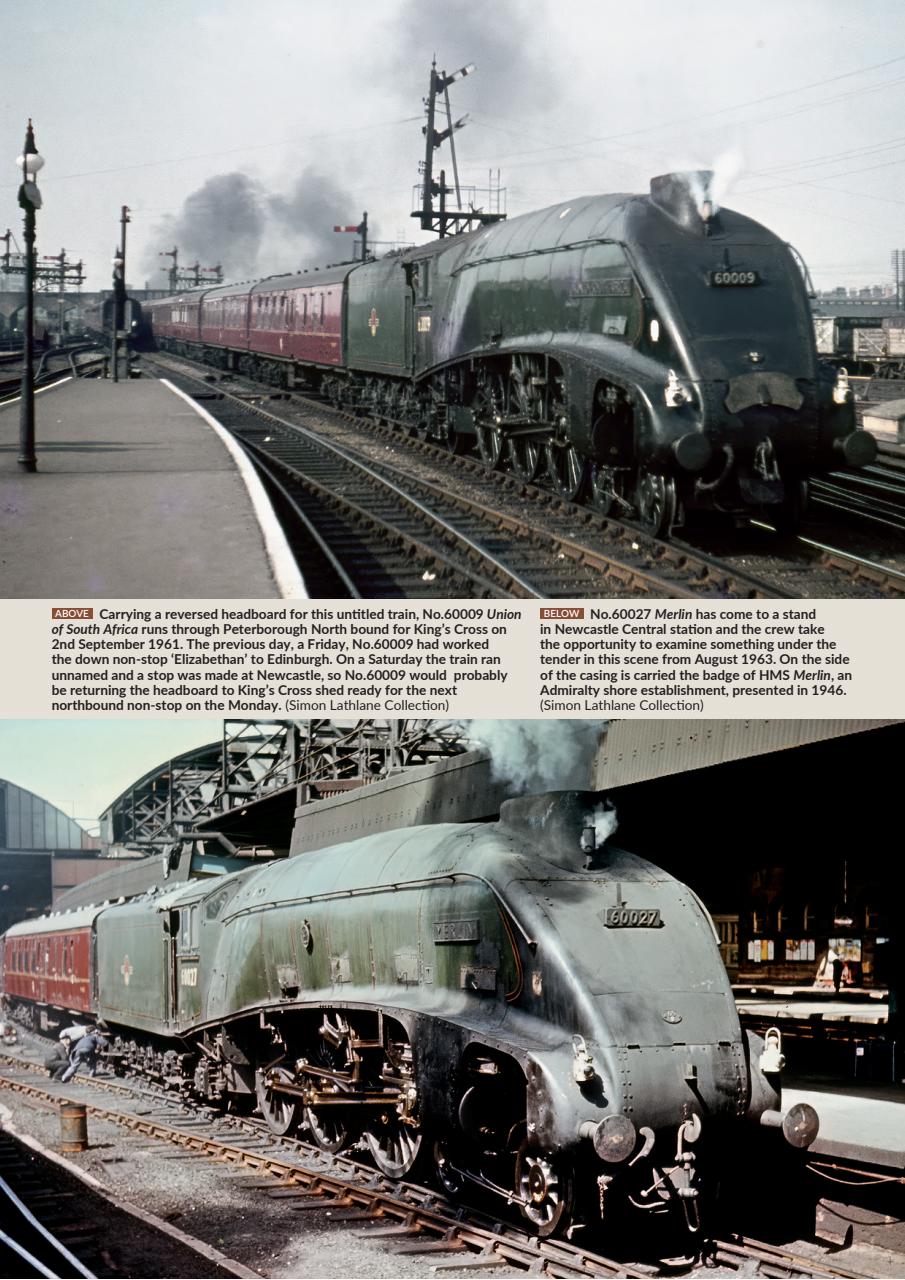 Backtrack Preview Pages