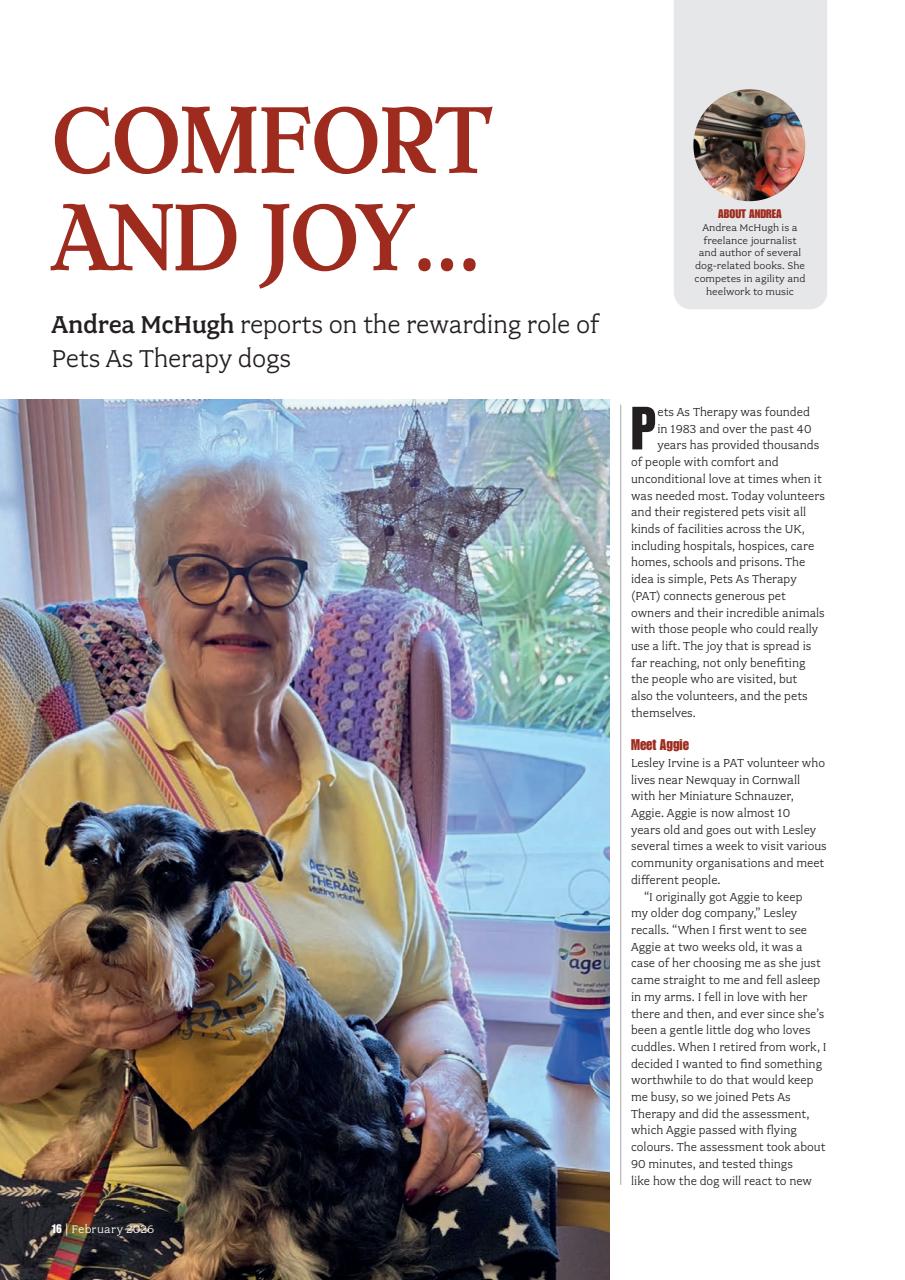 Your Dog Preview Pages