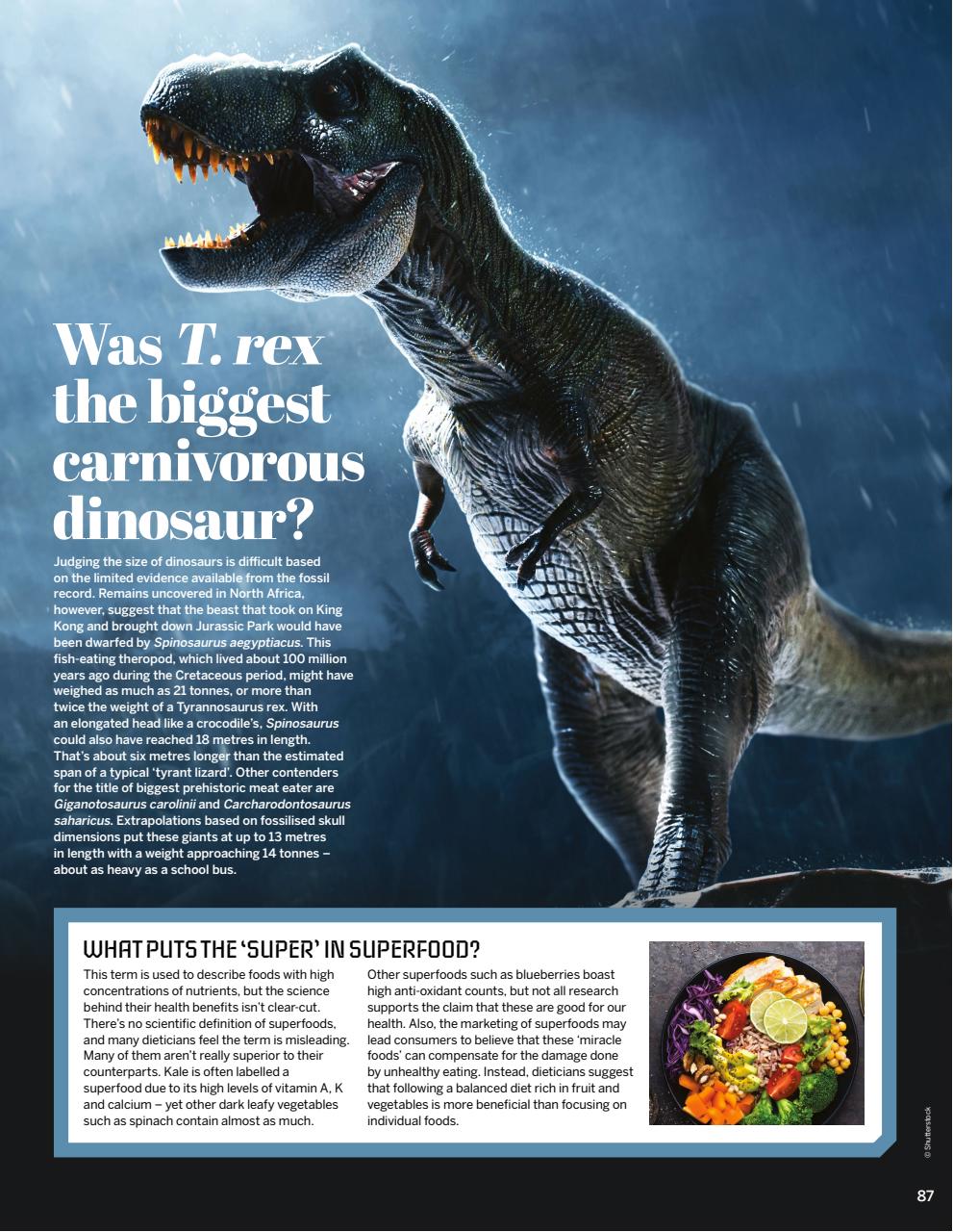 How It Works Preview Pages