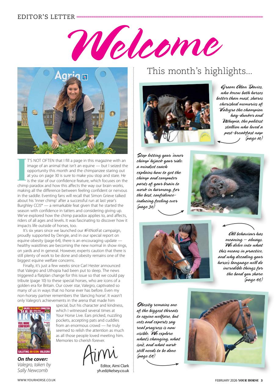 Your Horse Preview Pages