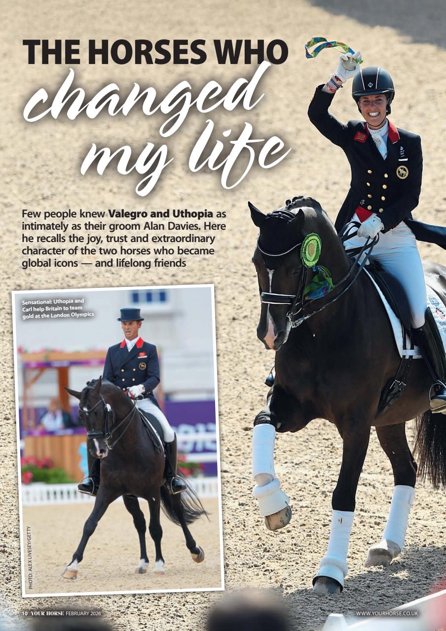 Your Horse Preview Pages