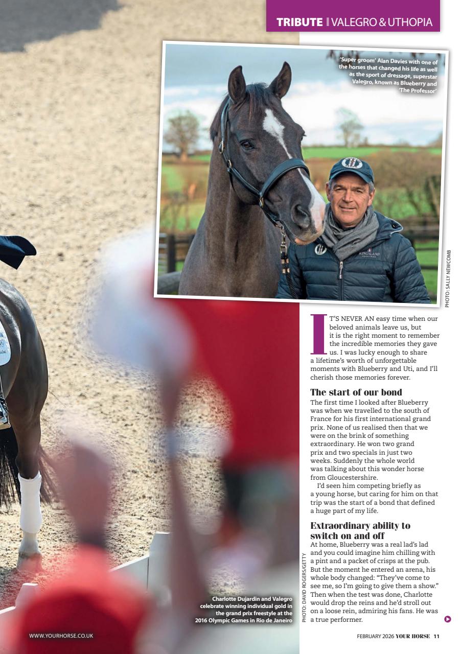 Your Horse Preview Pages