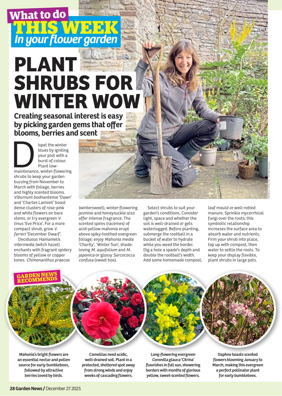 Garden News Preview Pages