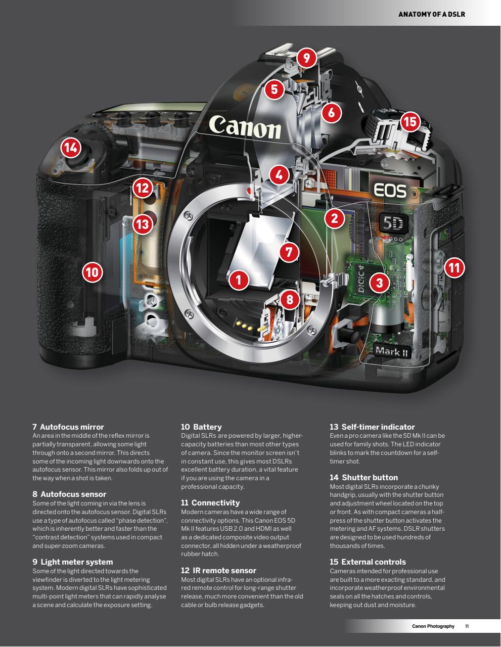 Canon Photography The Complete Manual Preview Pages