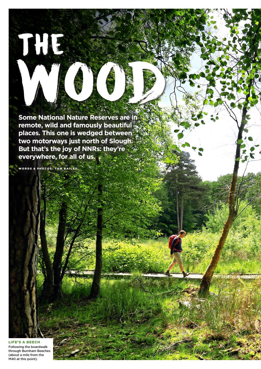 Country Walking Preview Pages