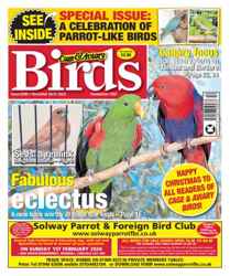 Cage & Aviary Birds Discounts