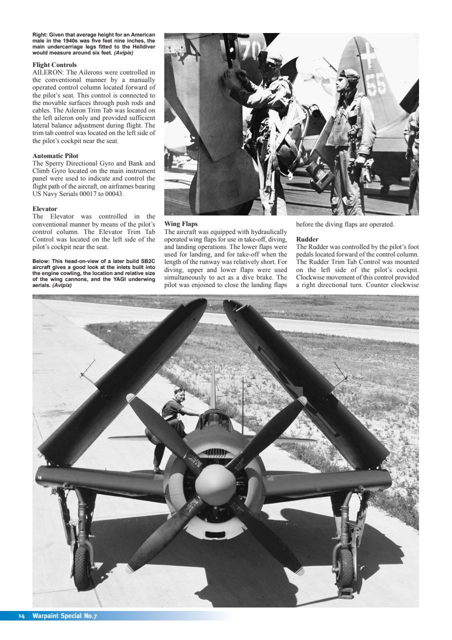 Warpaint Preview Pages