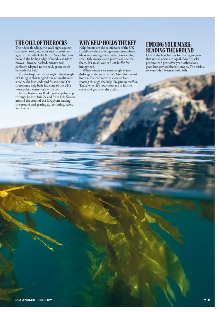 Sea Angler Preview Pages